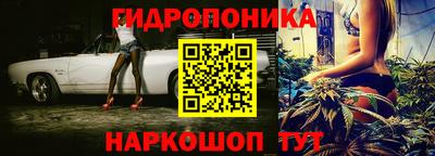 гидропоника Пушкино