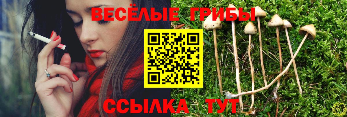 Галлюциногенные грибы прущие грибы Соль-Илецк