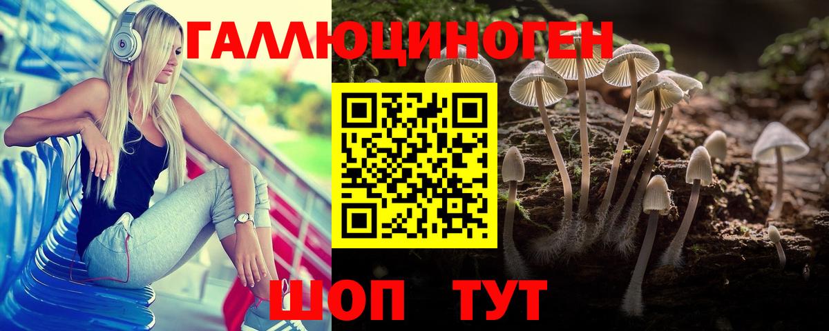 Галлюциногенные грибы Psilocybe  Вход с VPN  Соль-Илецк 